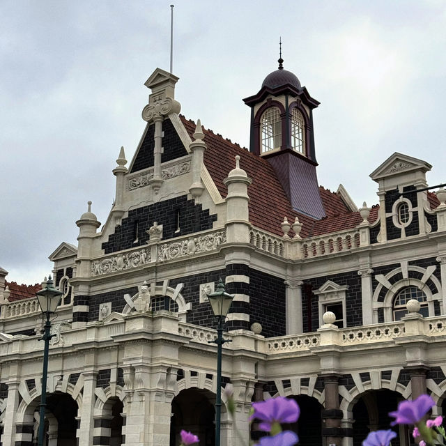 Dunedin: The South Island's Hidden Gem City! 💎✨