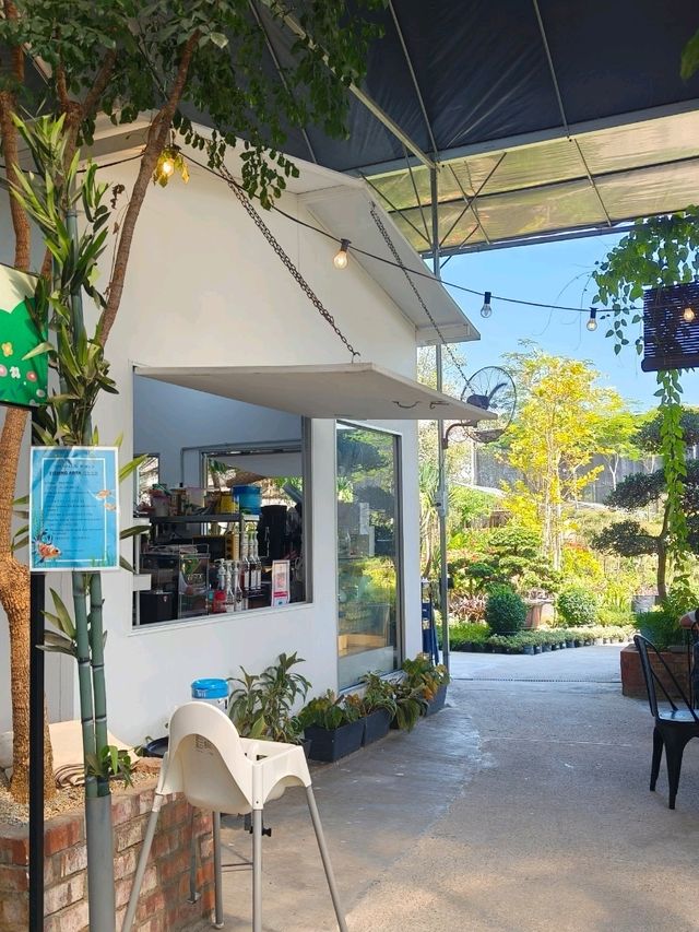 Chill Vibes and Caffeine: Desaru’s Affordable Plant Cafe Experience