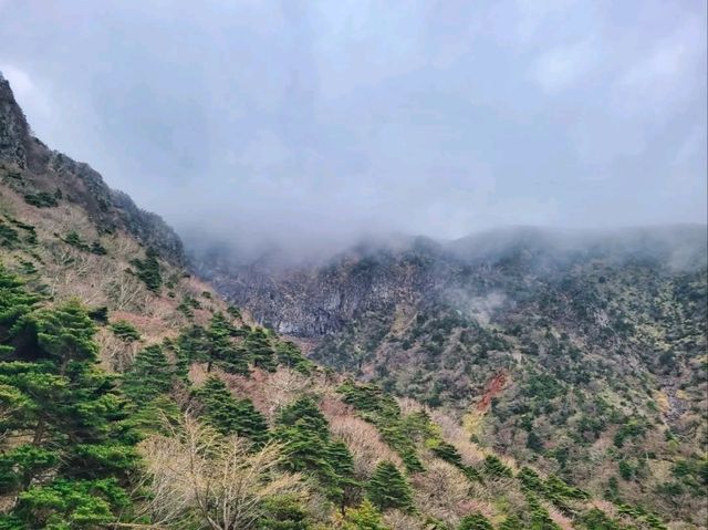 Baekrokdam at Hallasan Was Straight-Up Magical 