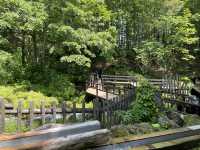 北海道_ 羊蹄山名水公園、支芴湖
