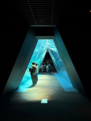 🐠 [Fukushima, Iwaki] Aquamarine Fukushima | An exciting aquarium