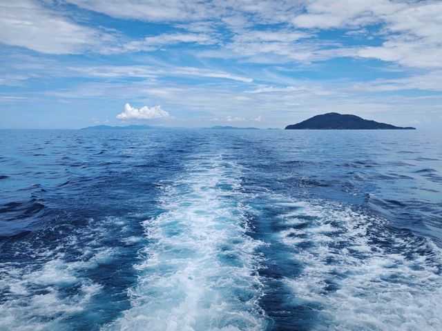 🌊【普吉潛水日記】潛入蔚藍，與大海約會！🐠  