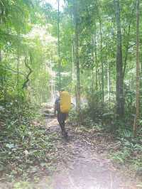 Into the Heart of Taman Negara 🌿⛰️