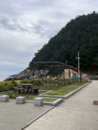 🌊영덕 숙소추천 시포트리조트🏨✨