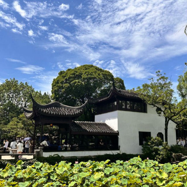 【中国/蘇州/拙政園】