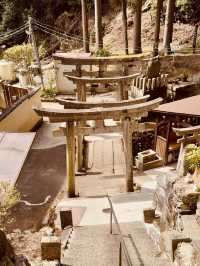 ⛩️✨ Fushimi Inari Taisha: Kyoto’s Iconic Thousand Torii Gates