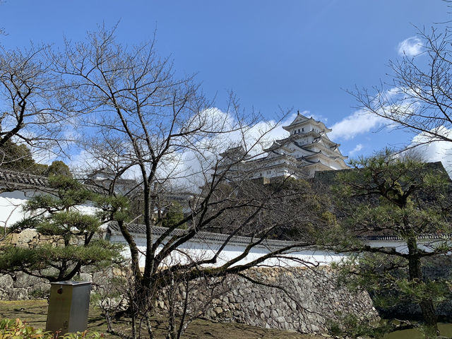 🏯 “White Heron Dreams: A Day at Majestic Himeji Castle”