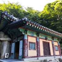 Exciting 6-hours trip to Gyeongju city
