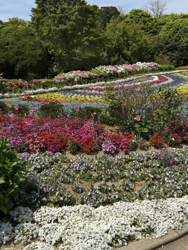 【福岡の隠れ楽園🌺】能古島でのんびり島時間を満喫しよう