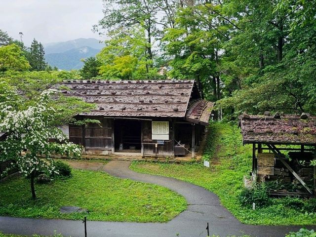 白川鄉合掌村太遠！！那就去飛驒之里吧！🏡✨