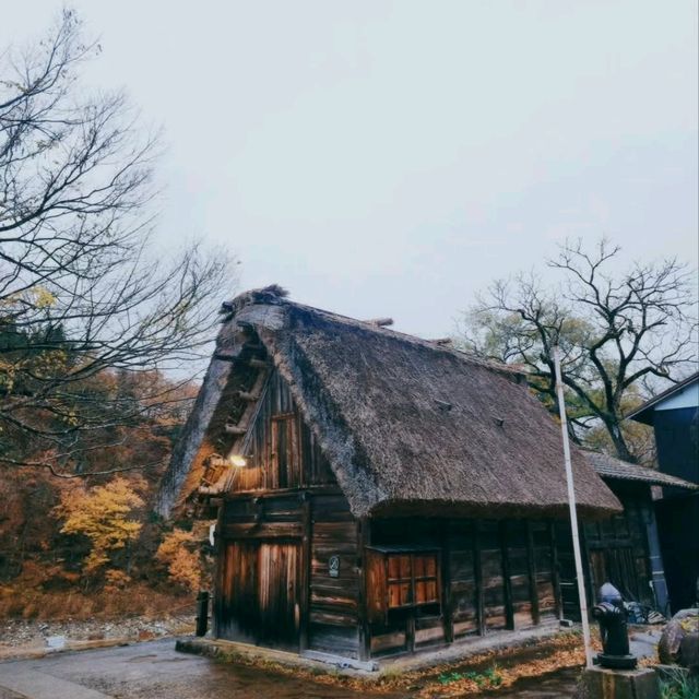 合掌村🌱世界文化遺產🎈一日遊行程⚡️名古屋必去景點