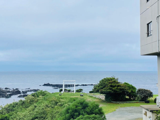 My Chill Niigata Getaway: A 4-Day, 3-Night Escape! 🇯🇵 relaxing
