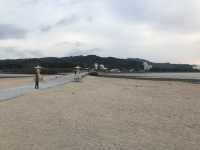 宮崎-鬼之洗衣板