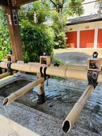 自由が丘🇯🇵縁結びで人気の熊野神社でパワーチャージ💪⟡.·