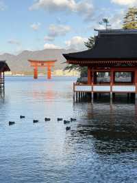 宮島-嚴島神社