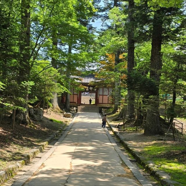 Temple Time & Zen Vibes, Haeinsa Hits Different