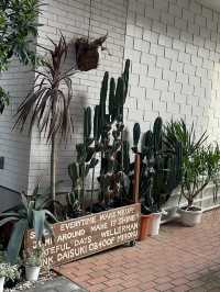 🌵【多肉の宝庫🌿エスボタニカルで感じる圧巻の多肉ワールド】