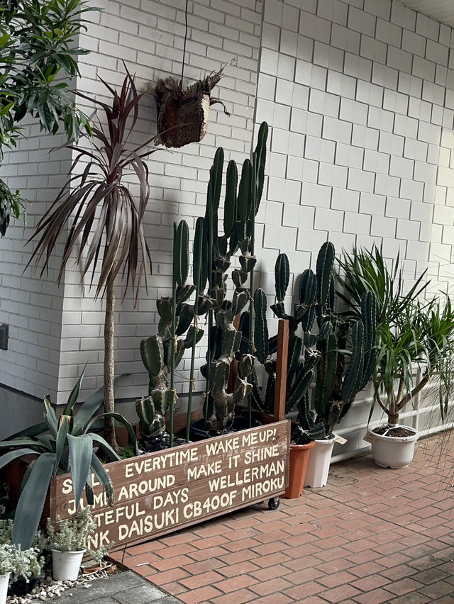 🌵【多肉の宝庫🌿エスボタニカルで感じる圧巻の多肉ワールド】