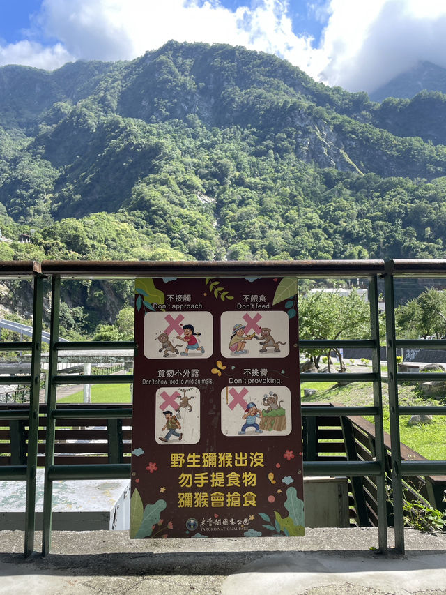 Hehuanshan – ถนนคดเคี้ยว… วิวสวรรค์ภูเขาไต้หวัน