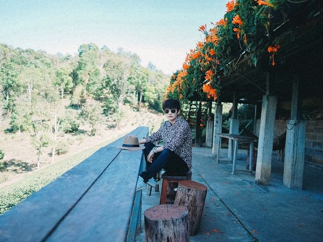 ไร่ชาลุงเดช