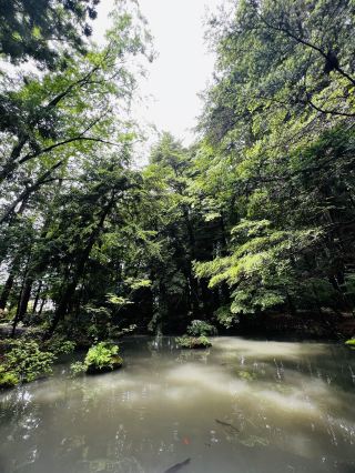「自然の中で、心が静かに整っていく。」そんな不思議な体験、最近いつしましたか？