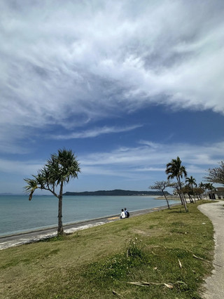 [The exhilarating feeling of driving over the sea] A spectacular driving spot: Mid-Sea Road