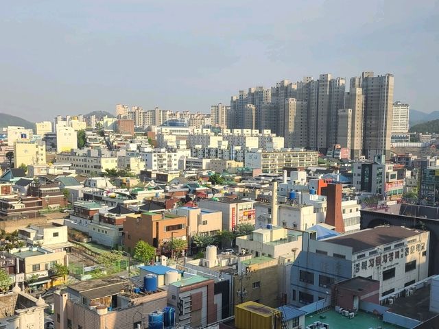 대구 메리어트 호텔 M클럽룸 킹침대 (애프터눈티타임, 소설아워, 어반키친조식, 수영장)