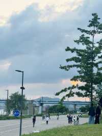 ปิกนิกที่สวนตุกซอม (Ttukseom Hangang Park) 🧺