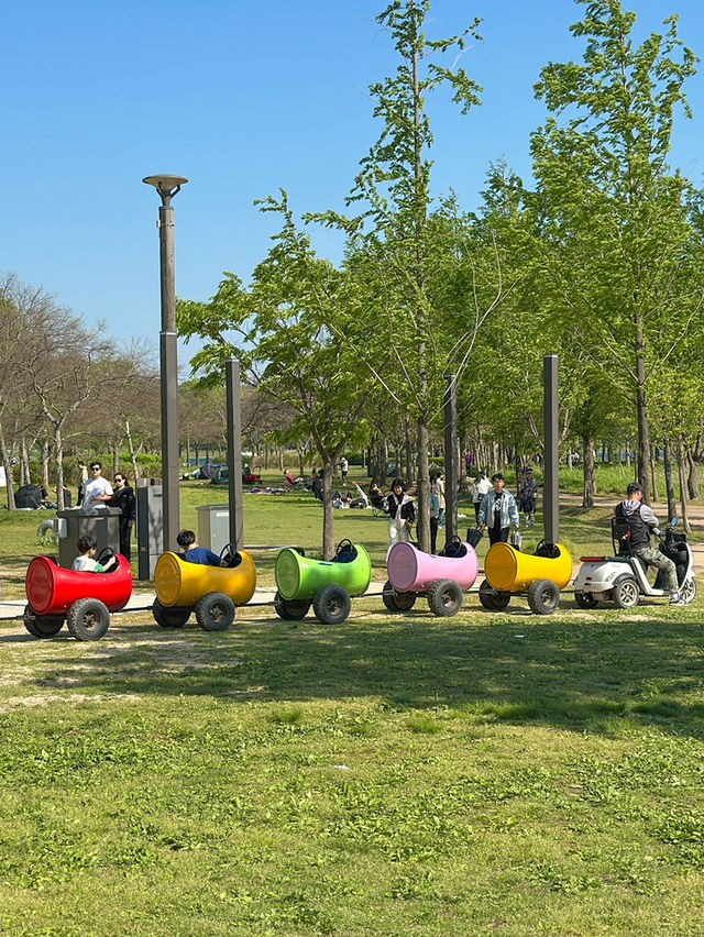 남양주/양평 당일치기로 가기 좋은 물의정원 🌳