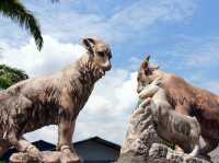 🐐 Goat Encounters & Fresh Milk Delights at Hay Dairies!