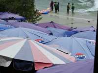 Pattaya Express: Sanctuary, Sand & Street Lights