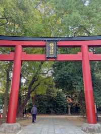 東京 根津神社 ⛩️🌿