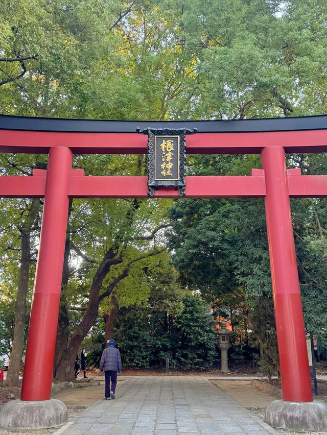 東京 根津神社 ⛩️🌿