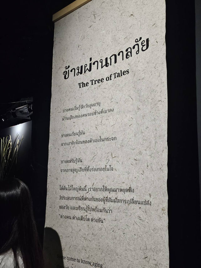 นิทรรศการ💫