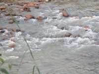 Ride, Hike, Splash: Chasing Rainbows in Lembing