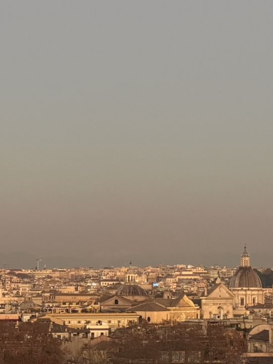 The Coin, The Myth, The Majesty: Trevi Unmasked 