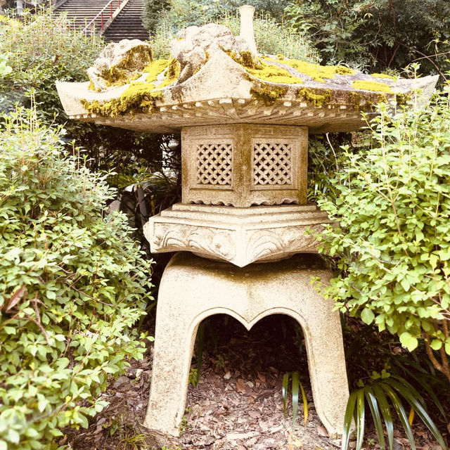 🌿 Solo Escape: Nakai-machi – Kanagawa’s Hidden Mountain Gem