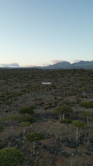 Paradise on Earth - Socotra Island