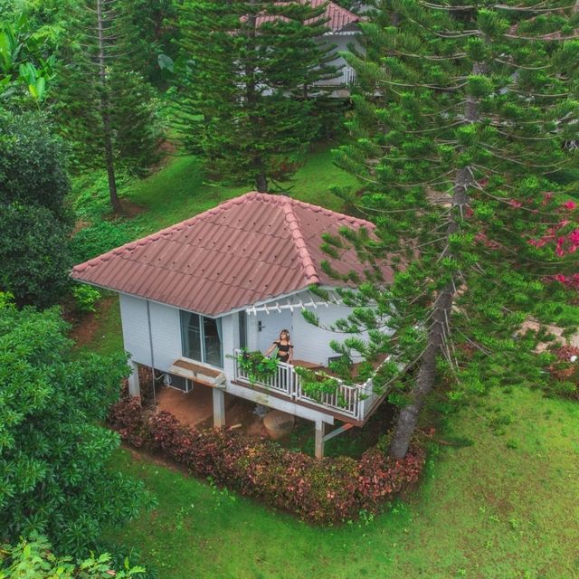 "Phukaew Resort" ที่พักเขาค้อกลางธรรมชาติ