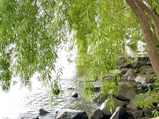 돗자리 하나면 충분해! 양화한강공원 피크닉💚