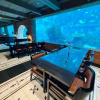 Dining Under the Sea: Koral’s Magical Culinary Dive 🇮🇩