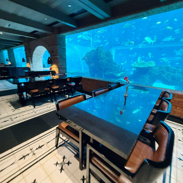 Dining Under the Sea: Koral’s Magical Culinary Dive 🇮🇩