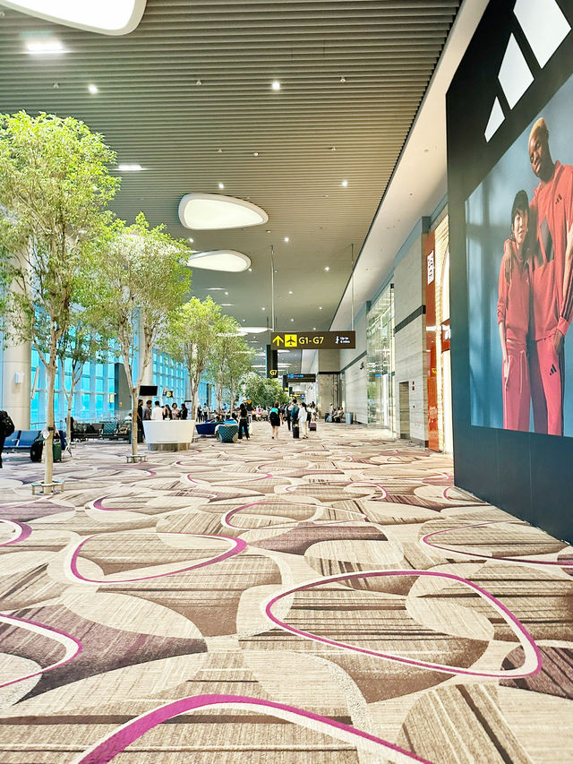 Sleek, Smart & Seamless – Discover Changi Airport Terminal 4