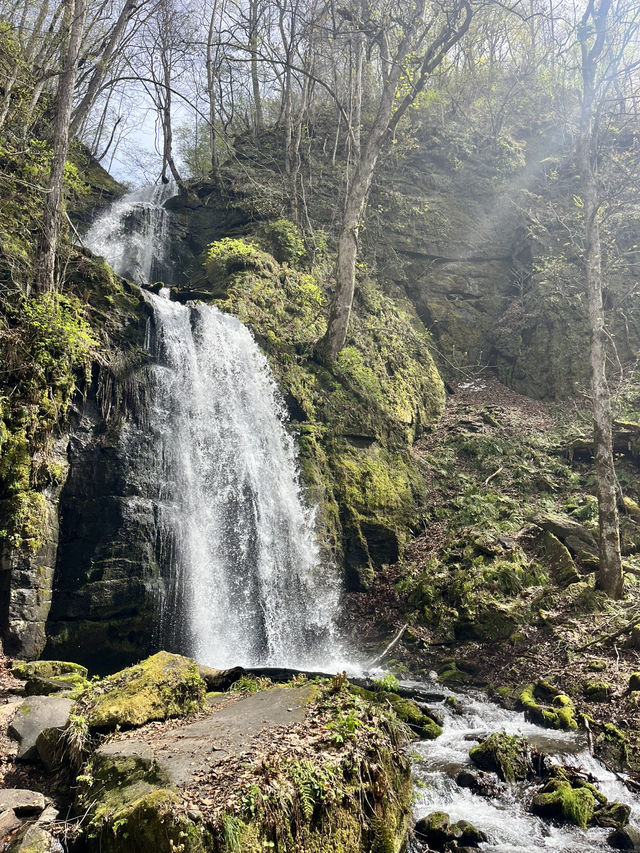 Spent a day at Oirase Gorge - Aomori