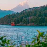 箱根神社⛩️