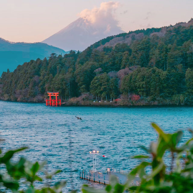 箱根神社⛩️