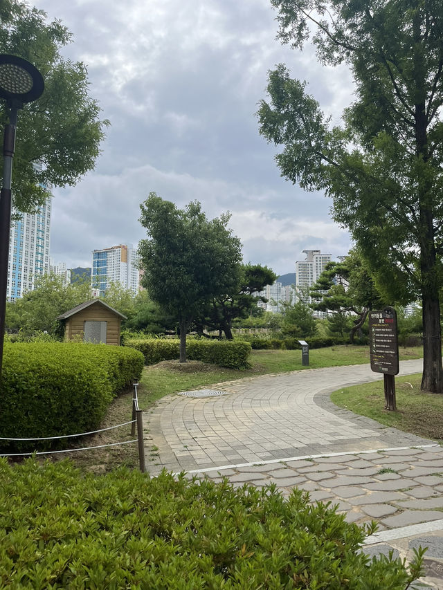 부산 도심 속 힐링 산책🌿 시민공원에서 보낸 여유로운 오후