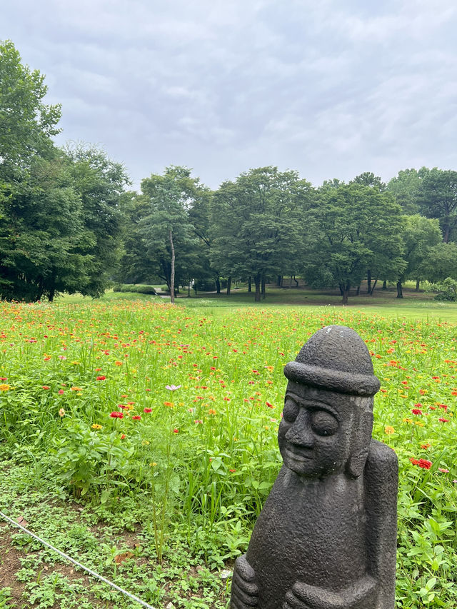 백일홍 정원
