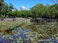 Nankai Park🌳🦋