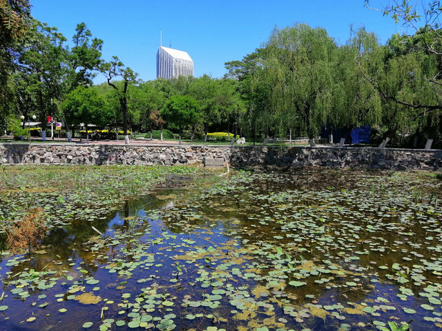 Nankai Park🌳🦋